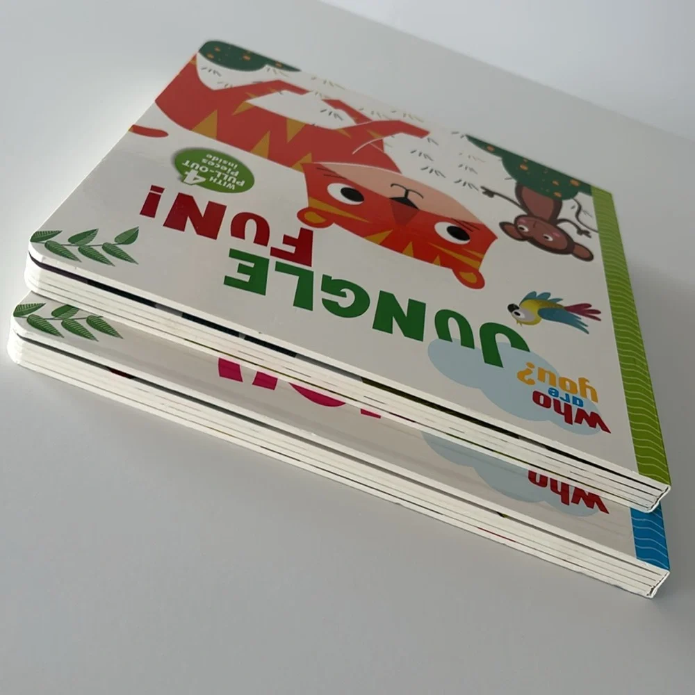 Vision St. Publishing this series